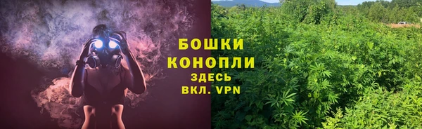 мдпв Медвежьегорск