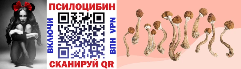 Галлюциногенные грибы мухоморы  KRAKEN   площадка Telegram  Сухиничи 